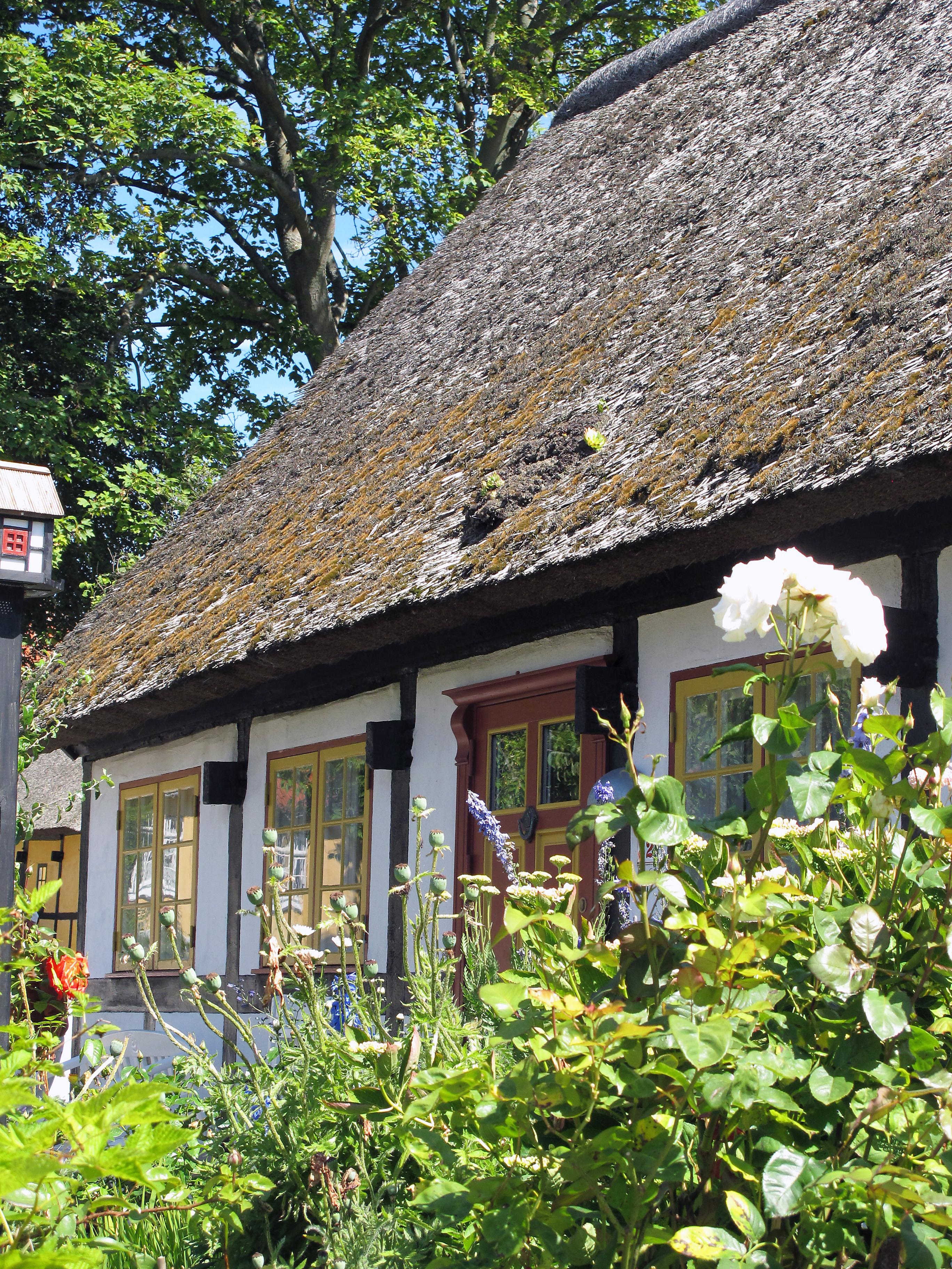 Sommerhus billede 1